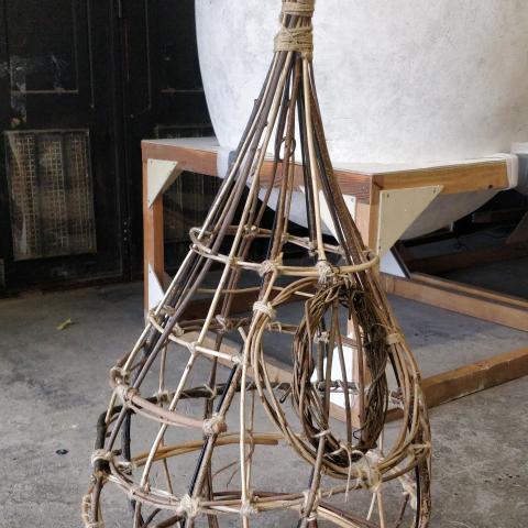 osier